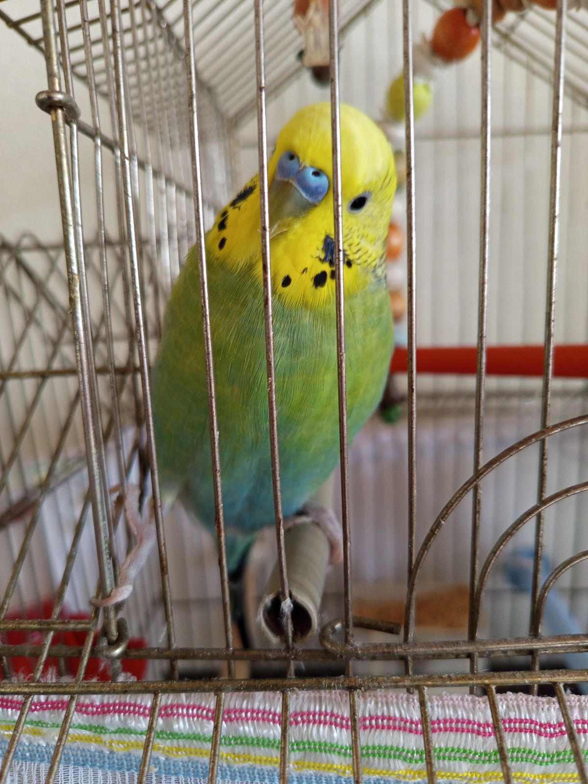 Gönderi görseli