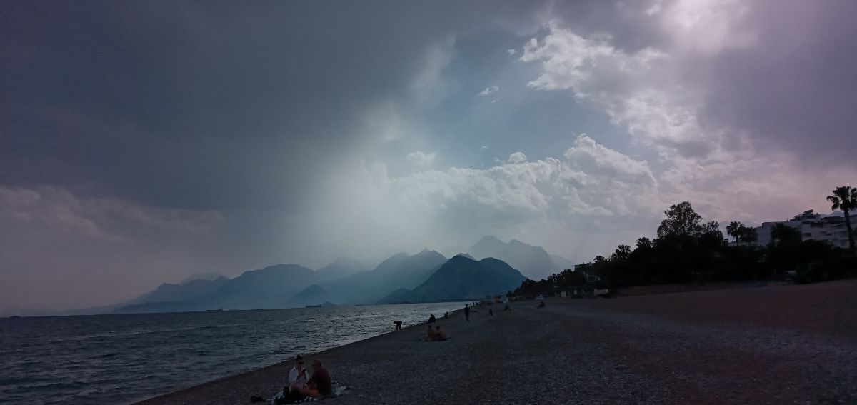 صورة المنشور