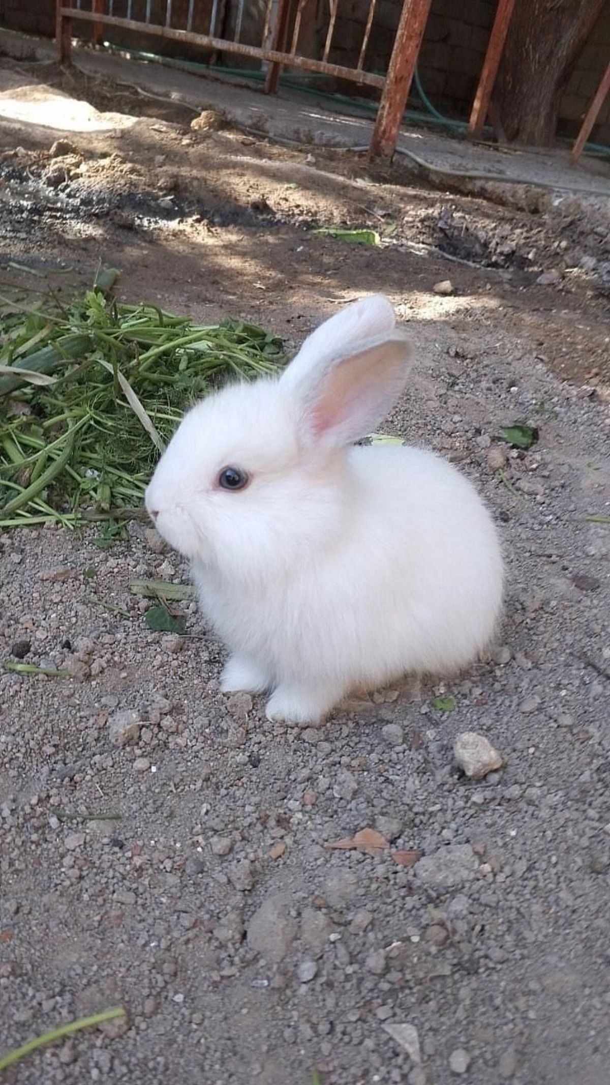 Gönderi görseli