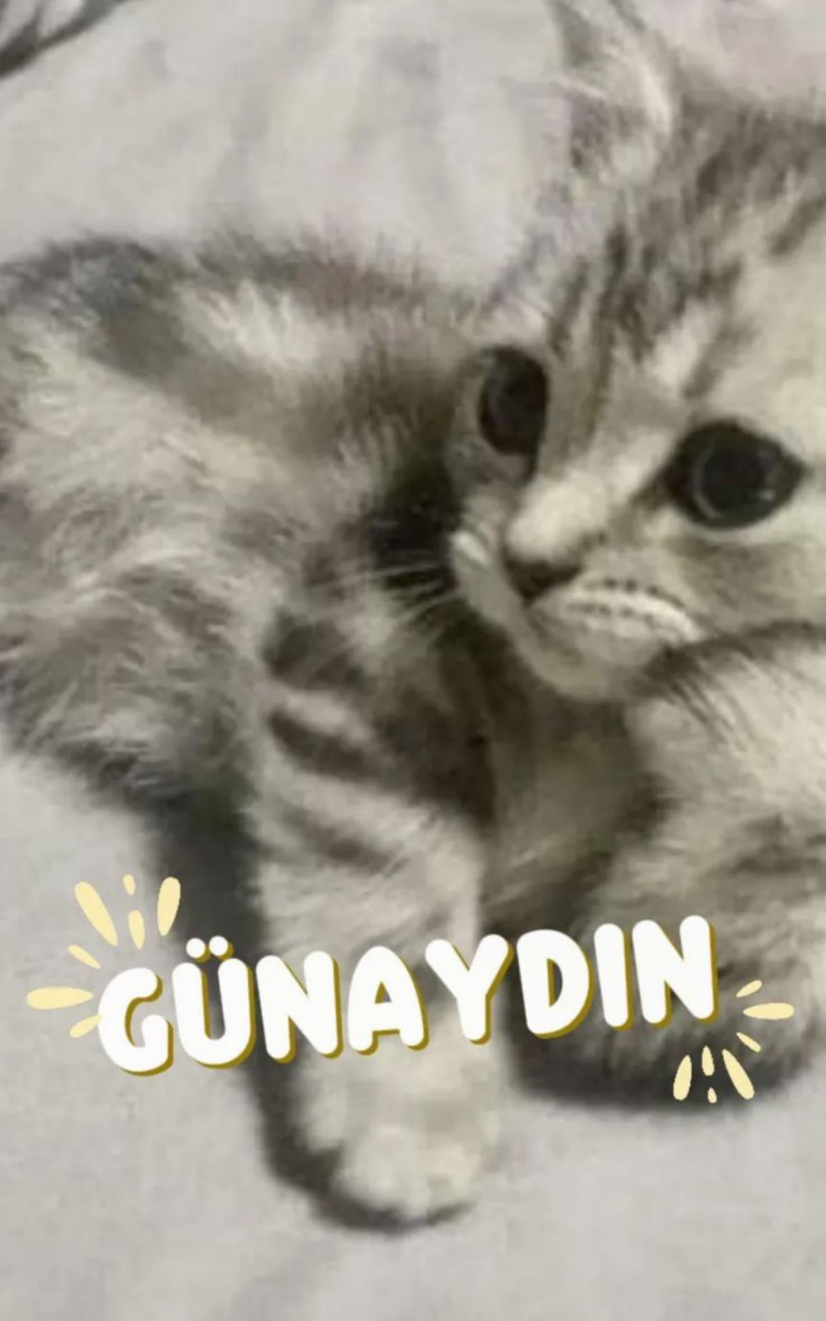 Gönderi görseli