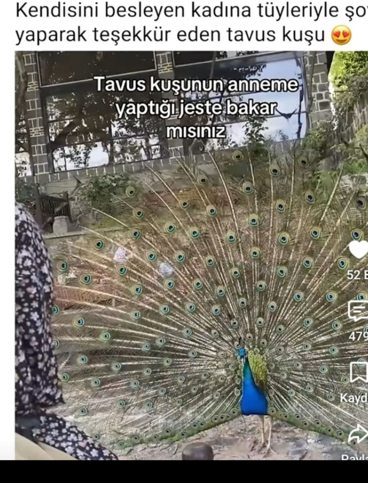 Gönderi görseli