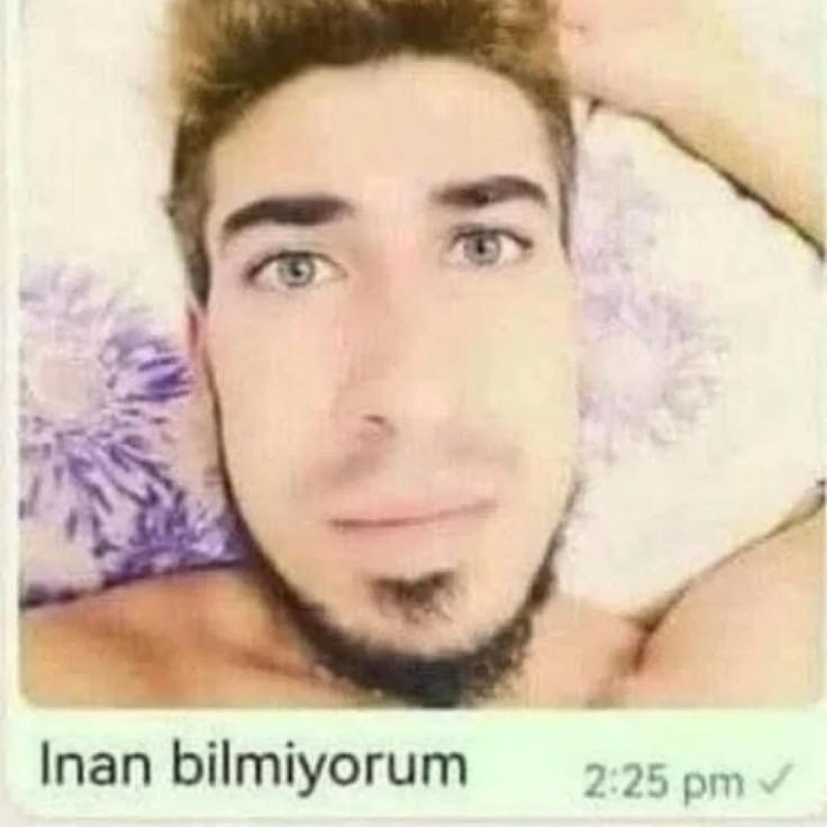 صورة المنشور