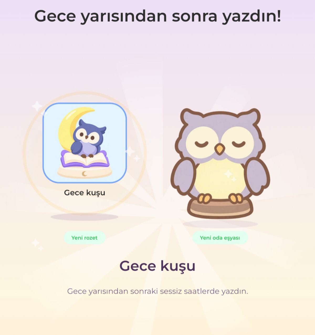 Gönderi görseli